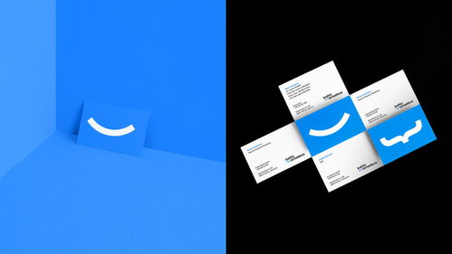 數(shù)字時(shí)代的匠心融合 Baltic Amadeus 定制軟件開發(fā)公司品牌形象設(shè)計(jì)解析