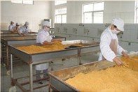 精選肉松批發(fā) 黃金松、原味、辣味、雞肉松一站式供應(yīng)，量大優(yōu)惠包郵