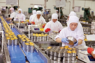 淮北貝寶食品全力投入黃桃罐頭生產，保障市場供應與品質
